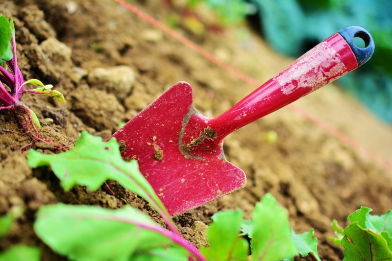 sasu-RAYOL CANADEL SUR MER-min_gardening-2448134